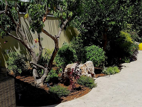 עיצוב גינות נוי