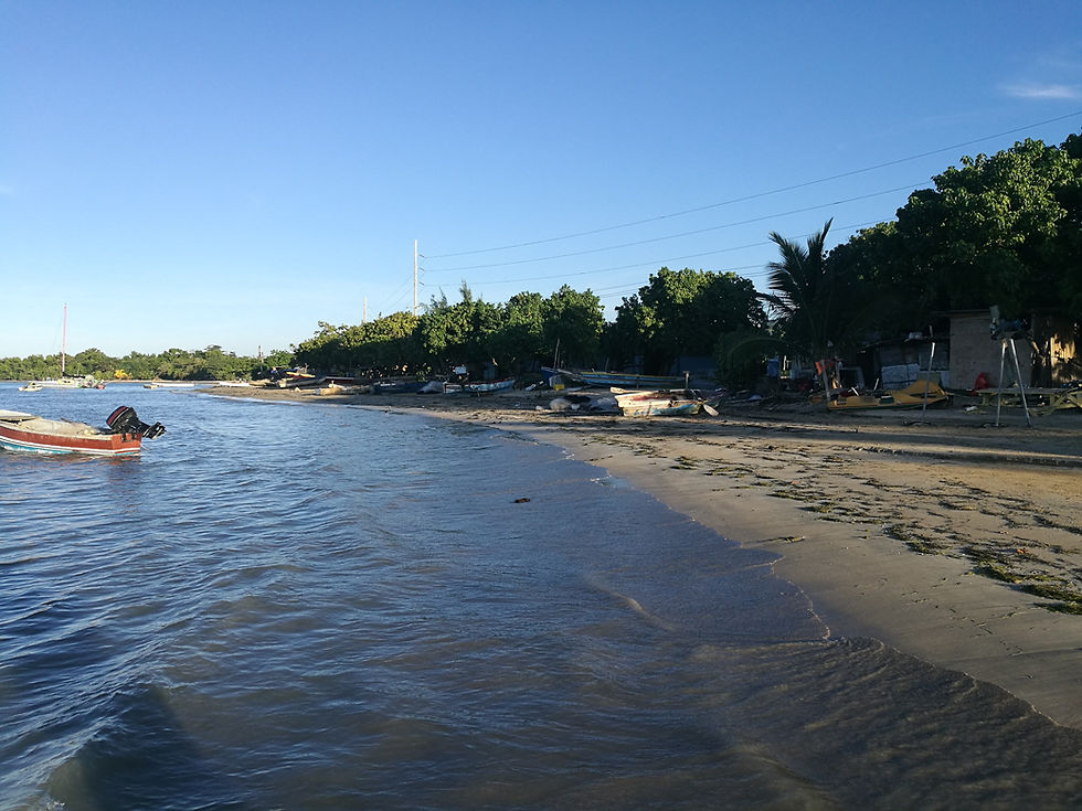 The coastline of Jamaica.  The water is on the left hand side with a small motorboat present - the right side is the beach with more boats, sand and trees