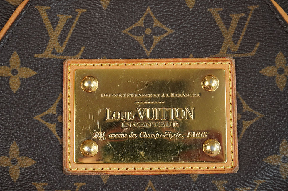 Miniatura: Preowned Authentic Louis Vuitton Thames PM