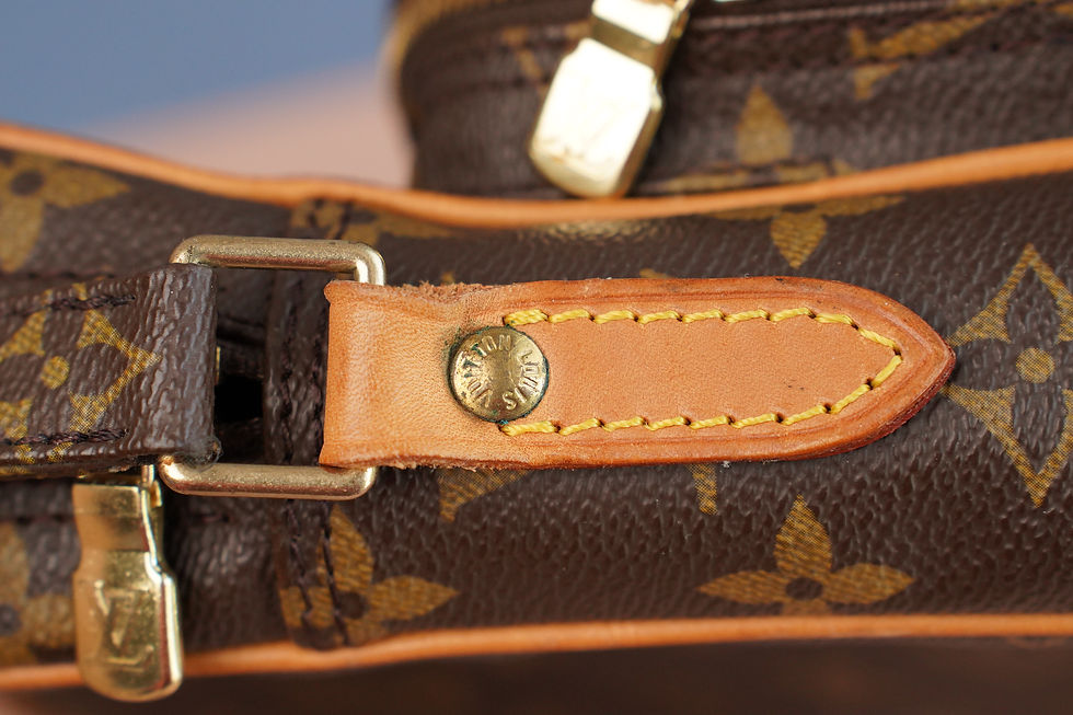 Miniaturbild: Preowned Authentic Louis Vuitton Amazon Crossbody Bag