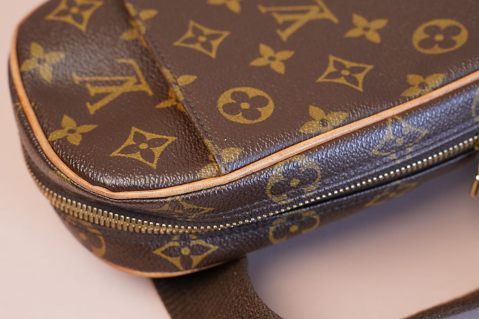 Miniaturbild: Preowned Authentic Louis Vuitton Gange Bum Bag