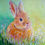 Miniatura: SPRING BUNNIES ACRYLIC PAINTINGS COLLECTION 