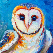 Original oil painting on canvas of a barn owl by Kinga E. Vnuk