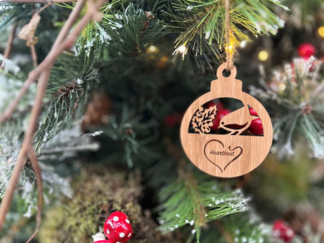 Southampton charity brings sustainable sparkle to the region’s Christmas trees