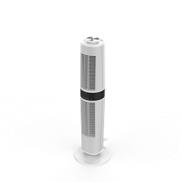 Rasonic  RTF-38L
