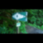 Appalachian Trail trail head sign in a white diamond surrounded by green. In the background is the lush green of Nantahala National Forest