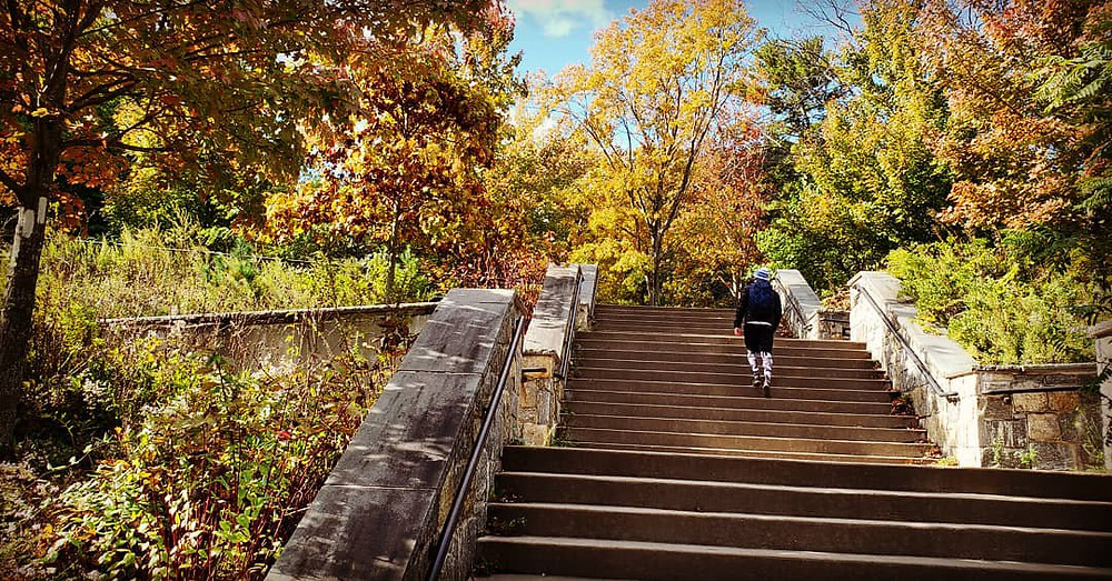 Stone stairs surrounded by trees yellows, oranges, and reds in their leaves. A lone white man in a dark outfit climbs up the stairs.