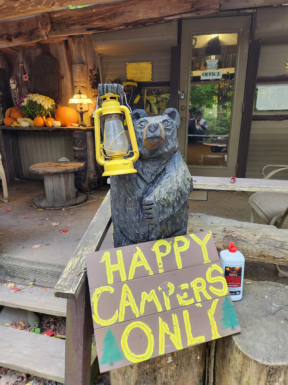 Hand carved black bear holds a yellow lantern. A wooden sign at it's feet reads, "Happy Campers Only"