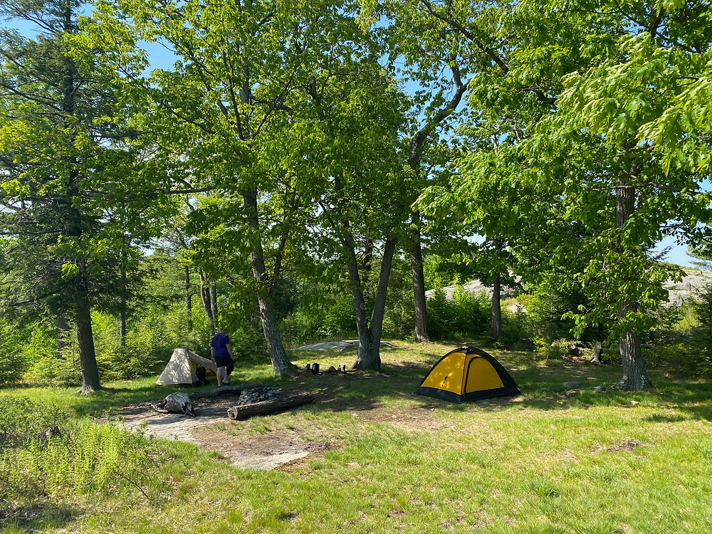 Two tents set up on a sunny day in a clearing between trees with a fire pit between them