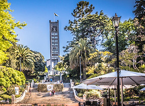 11.Nelson img-1595656301-5291-5913-trafa