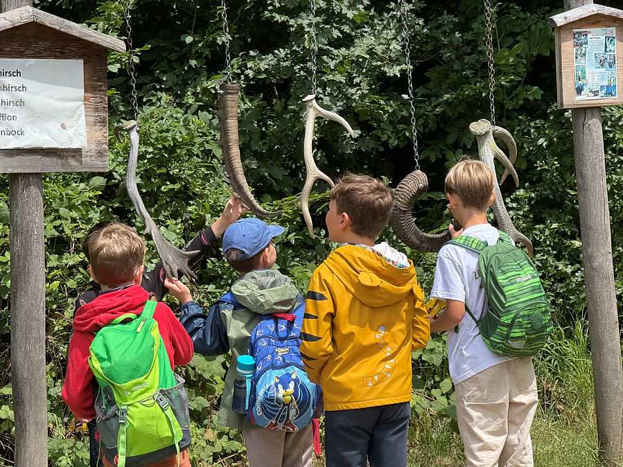 Ferinecamp Waldfreunde.jpg