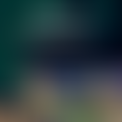 dolar aduanero septiembre