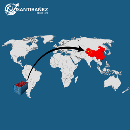 exportación de cerezas chilena hacia China