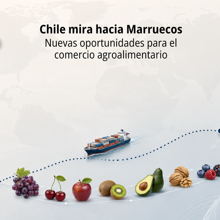 Chile y Marruecos abren nuevas oportunidades para el comercio agroalimentario