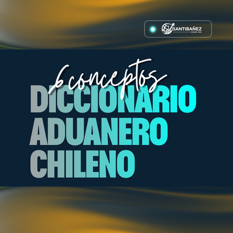 Diccionario aduanero chileno 