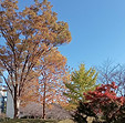 DSC_0915.jpg