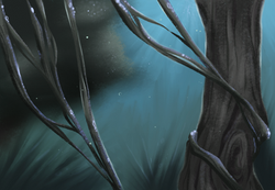 Fairy Woods