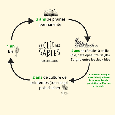 3 ans de prairies permanente.png