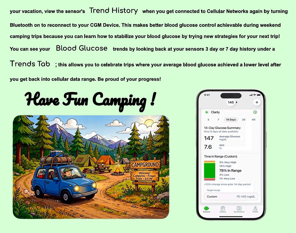 CGM: Viewing Blood Glucose Levels in a Cellular Dead Zone after Returning from Vacation - English / Spanish Flyer