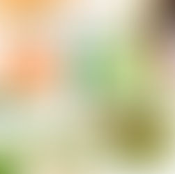 全港首個【中醫藥生涯規劃三層架構學習計劃】正在展開