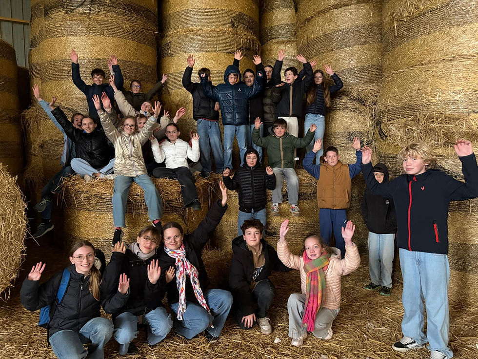 Une sortie à la ferme pédagogique Duchateau de Marquise pour les 6e