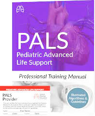 PALS- ONLINE + SKILLS