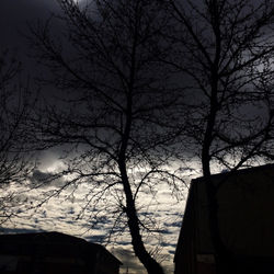 Shadows of the Light