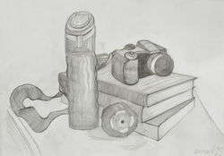 Observational Drawing