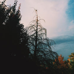 Rainy greet of the Autumn