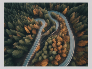 Unveiling Susan Delaney's Writing Journey: A Unique Perspective