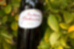 Outeiro Maduro Ribatejo DOC