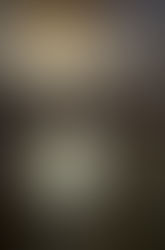 Histoire des arts: à la découverte de Roubaix