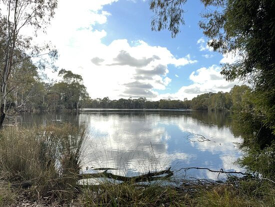 Planting mornings at Kennington Reservoir