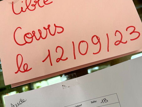 Les « libres cours », une expérimentation sous forme de cadeau