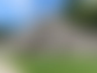 De dag dat ik ‘La Reina de la Vegetación’ werd in Palenque