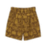 Thumbnail: Brown Hiero Swim Trunks