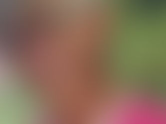 Zé Martins tenta terceirizar o caos da sua administração