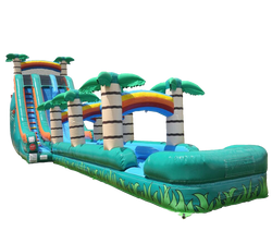 Inflatable Tropical Slides