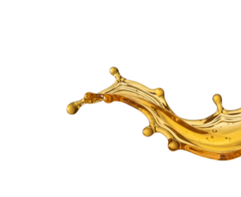 lstumpa hero image.png