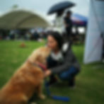 IMG_20191001_104955_564