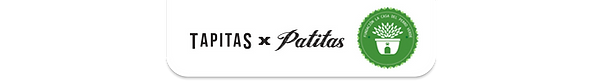 pestaña fundacion.png