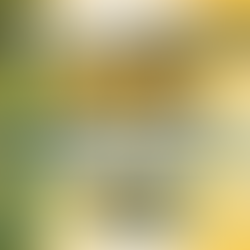 The Surprising Truth Behind Exercise Enduced Dizziness