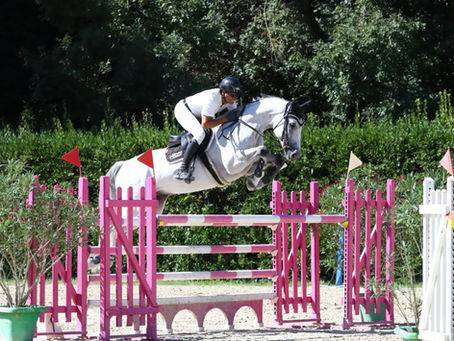 Cornet Crown (Cornet x Polydor)