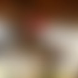 Campari 345 (Cola Zero x Heraldik XX)