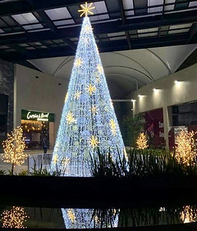 Copia de d667508f-897a-4d3b-a9de-0649c944c8e4_edited.jpg