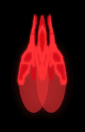 256_DavidShip03_Lv2Damage_Animation.gif