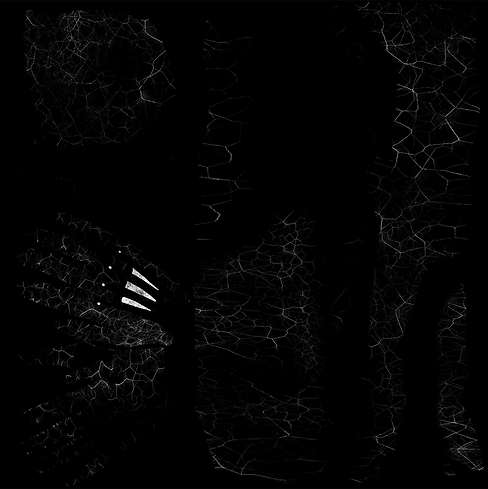 TEX_Character_Arm_MASK_V5_WHITE.png