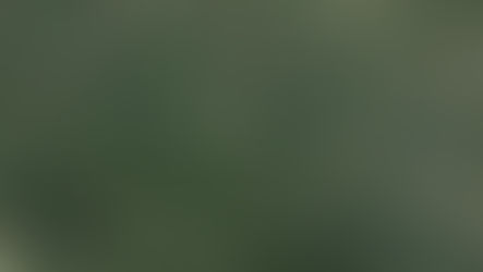 Adelina Cavaleri: Lo stato sono io