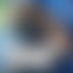 ROKY, IL CUCCIOLO DI PITBULL IN VACANZA A VENEZIA...                            
DA SOLO. tratto dal quotidiano ll Messaggero