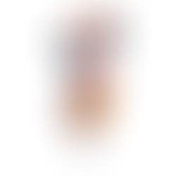 MICHELINO BERZEGHINO L’uomo che voleva volare "Se vola il bastone posso volare anch'io"